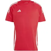 Adidas Tiro24 Sweat Short Sleeve T-shirt Rouge XL / Regular Homme