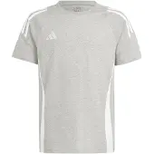 Adidas Tiro24 Short Sleeve T-shirt Gris 11-12 Years Enfants