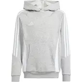 Adidas Tiro24 Hoodie Gris 15-16 Years Enfants