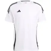 Adidas Tiro24 Sweat Short Sleeve T-shirt Blanc L / Regular Homme