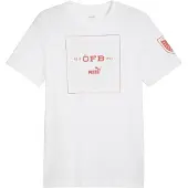 Puma Garçons, Maillot de football, ÖFB Ftblicons Tee Jr (164), Blanc, 164