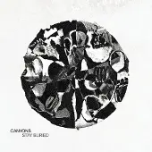 Sonic Canyons - Stay Buried [Vinyl]