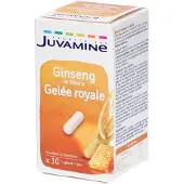 Juvamine Gelée Royale Ginseng de Sibérie 30 pc(s) Capsule(S)