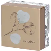 I.am.klean Loose Mineral Eyeshadow Tuned in 1 pc(s) Maquillage