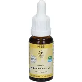 Hager Pharma GmbH Fleurs de Bach No.28 Scléranthe bio 20 ml