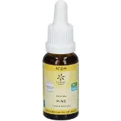 Lemon Pharma Dr. Bach Original N° 24 Pine | 20 ml