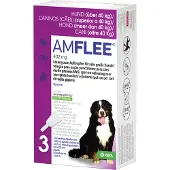 Amflee Spot-On 402 mg pour chiens XL 40+ kg