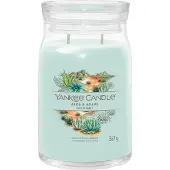 Yankee candle Aloès et Agave Signature Bougie parfumée - 567,0 g