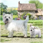 Craft Buddy Carte de voeux en cristal Westie 18x18cm