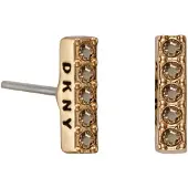 DKNY 5520081 Earrings Doré Femme