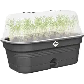 Elho Serre Rectangulaire en Plastique Elho pour Jardinage Domestique