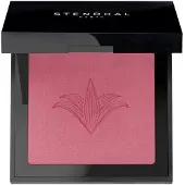 Stendhal Blush Illuminateur 303 Rose Marrakech 5.5g