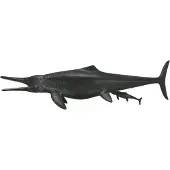 Collecta Temnodontosaurus - (XL)
