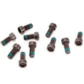 LuK Visserie, volant moteur 411 0133 12