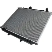 THERMOTEC Radiateur, refroidissement moteur D71015TT