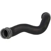 THERMOTEC Tuyau caoutchouc, refroidissement moteur DWB247TT