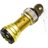Ignition Switch Doré