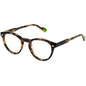 Sting Lunettes de Vue - - VST505L - Avana gialla lucida - Acétate - Small Size