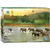 Eurographics Forêt tropicale