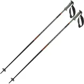 Salomon Polar Pro S3 Poles Argenté 120 cm