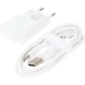 Goobay 44987 Ladekabel mit Adapter weiß 1 m, 12 Watt