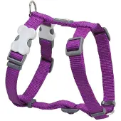 Red Dingo Harnais pour chien souple 30-48 cm Violet