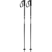 Faction Prodigy Poles Argenté 100 cm