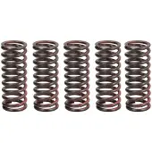 TRW Jeu de ressorts d'embrayage MEF312-5
