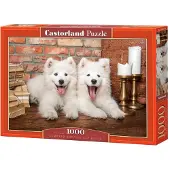 Castorland Puzzle 1000 pièces Chiots Samoyède disent Bonjour 105137