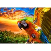 Bluebird Puzzle Parrot - 1000 pièces jouet coloré Puzzle