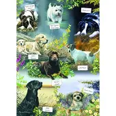Otter House Puzzle Puzzle d'animaux Man's Best Friend 1000 pièces