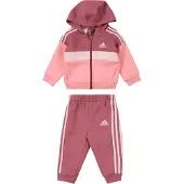 Adidas Survêtement | 62 | boy