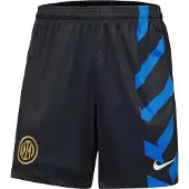 Nike Pantalon de sport 'INTER STAD AW'