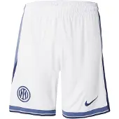 Nike Pantalon de sport 'INTER M STAD AW'