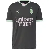 Puma Maillot 'AC Milan 24/25' gris / menthe / blanc