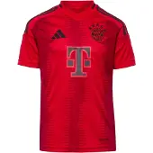 Adidas T-Shirt fonctionnel 'FC Bayern 24/25 Away' rouge / rouge foncé / noir