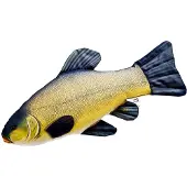 Gaby The Tench Medium Pillow Jaune