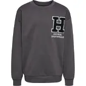 Hummel Sweat de sport graphite / noir / blanc
