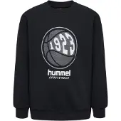 Hummel Sweat 'LOKSI' | 176 | boy