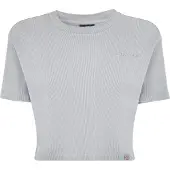 Dickies T-shirt 'PLENTYWOOD TEE SS W' | XS | female