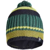 Rock Experience Bering Beanie Vert