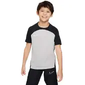 Nike Dri-fit Strike Iii Short Sleeve T-shirt Gris 10 Years Garçon