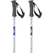 SCOTT Element Junior Poles Argenté 110 cm Enfants