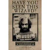 PAN Vision Danmark A/S Harry Potter - Poster 61x91 - Wanted Serius Black