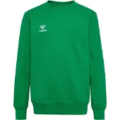 Hummel Sweat de sport 'GO 2.0' vert gazon / blanc