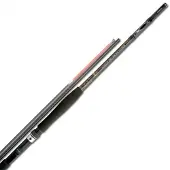 Shimano Fishing Canne Jigging Beastmster Ax Bt Inner