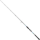 Penn Retaliate X Light Jigging Rod Argenté 1.83 m / 250 g