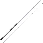 Cinnetic Sky Line Purple Sea Bass Evolution Spinning Rod Argenté 3.00 m / 15-50 g