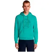 North sails Graphic Hoodie Gris L Homme