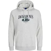 Jack & Jones Cobin Hoodie Gris S Homme